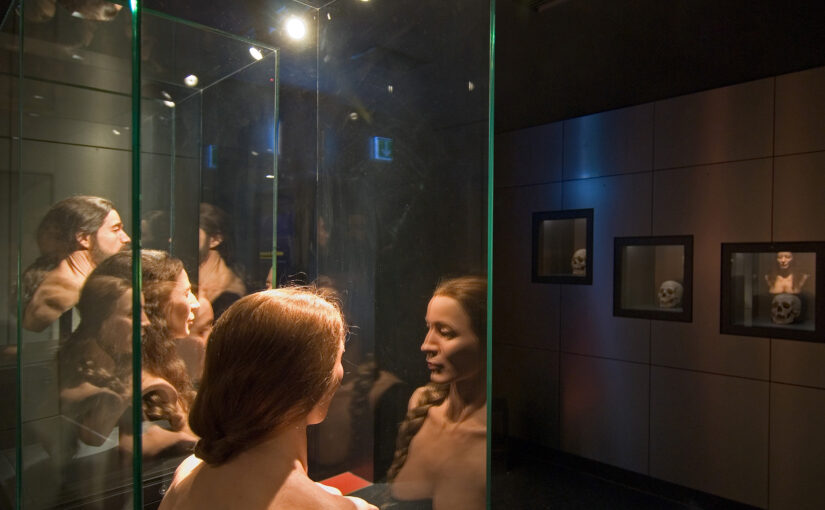 Three Thousand Years in One Place: A German Family’s Extraordinary Roots